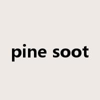 pine soot是什么意思