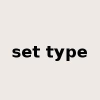 set type是什么意思