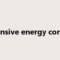 comprehensive energy consumption是什么意思