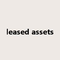 leased assets是什么意思