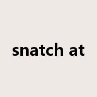 snatch at是什么意思