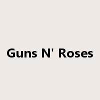 Guns N' Roses是什么意思