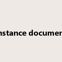 instance document是什么意思