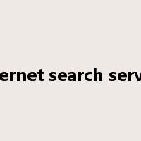 Internet search service是什么意思