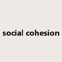 social cohesion是什么意思