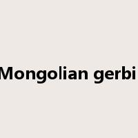 Mongolian gerbil是什么意思