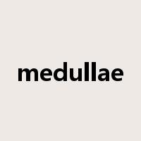 medullae是什么意思