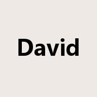 David是什么意思