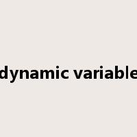 dynamic variable是什么意思