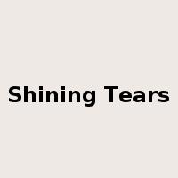 Shining Tears是什么意思