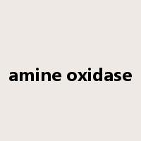 amine oxidase是什么意思