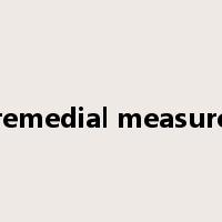 remedial measure是什么意思