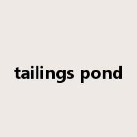 tailings pond是什么意思