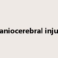 craniocerebral injury是什么意思
