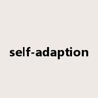 self-adaption是什么意思