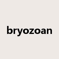 bryozoan是什么意思