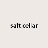 salt cellar是什么意思