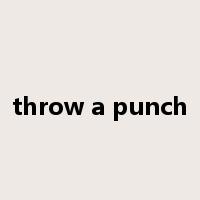 throw a punch是什么意思