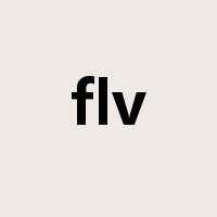 flv是什么意思