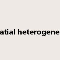 spatial heterogeneity是什么意思