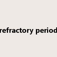 refractory period是什么意思