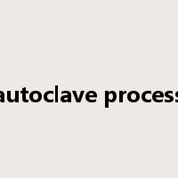 autoclave process是什么意思