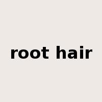 root hair是什么意思