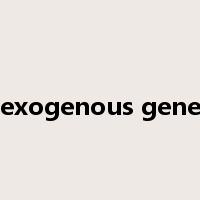 exogenous gene是什么意思