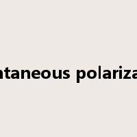 spontaneous polarization是什么意思
