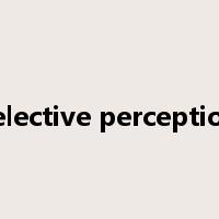 selective perception是什么意思