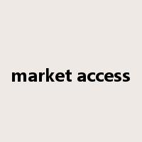market access是什么意思