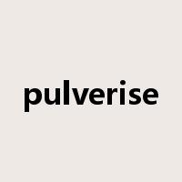pulverise是什么意思