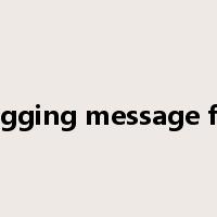 Logging message file是什么意思