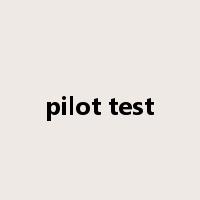 pilot test是什么意思