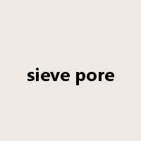 sieve pore是什么意思