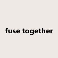 fuse together是什么意思