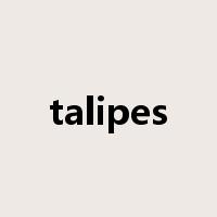 talipes是什么意思