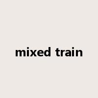 mixed train是什么意思