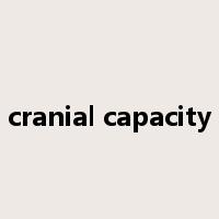 cranial capacity是什么意思
