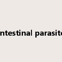 Intestinal parasite是什么意思
