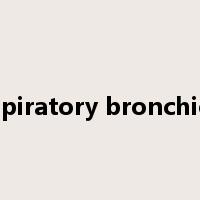 respiratory bronchiole是什么意思
