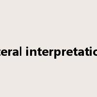 literal interpretation是什么意思