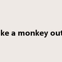 make a monkey out of是什么意思