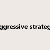 aggressive strategy是什么意思