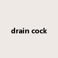 drain cock是什么意思