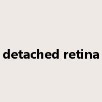 detached retina是什么意思