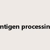 antigen processing是什么意思