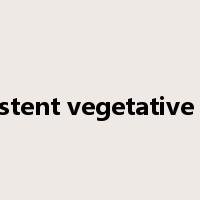 persistent vegetative state是什么意思