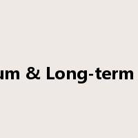 Medium & Long-term Loans是什么意思