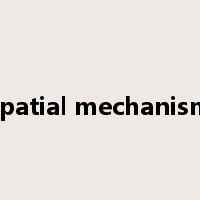 spatial mechanism是什么意思